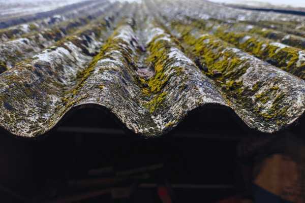 Textura de uralita vieja con musgo